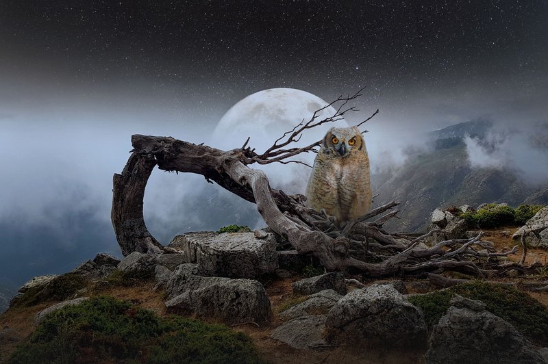 Vesolje ima v teh dneh žur, polna luna pa prinaša presenečenja (foto: pixabay)
