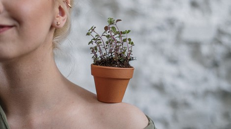 Poimenujte eno rastlino v vašem domu po svojem imenu