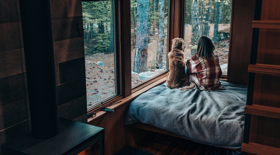 6 introvertiranih znamenj (ki uživajo doma) (foto: pexels)
