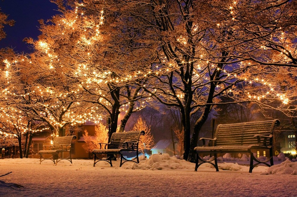 Kitajski horoskop od 7. do 13. 12. 2020 (foto: pixabay)