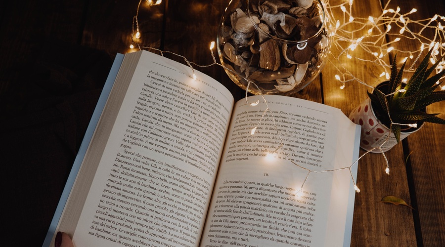 Prava knjiga ti ob pravem času lahko spremeni življenje... (čudovit zapis Petre Škarja) (foto: pexels)