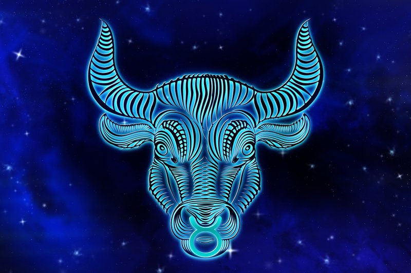 Bik: Veliki letni horoskop 2021 (foto: pixabay)