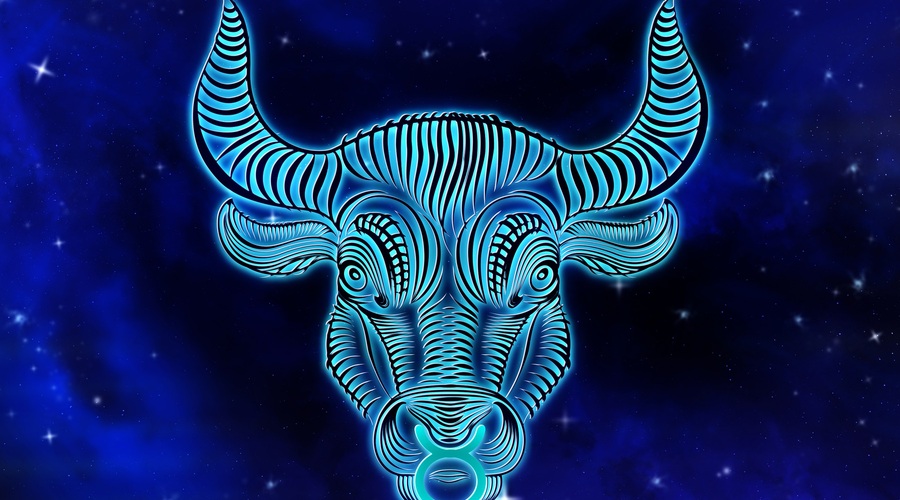 Bik: Veliki letni horoskop 2021 (foto: pixabay)