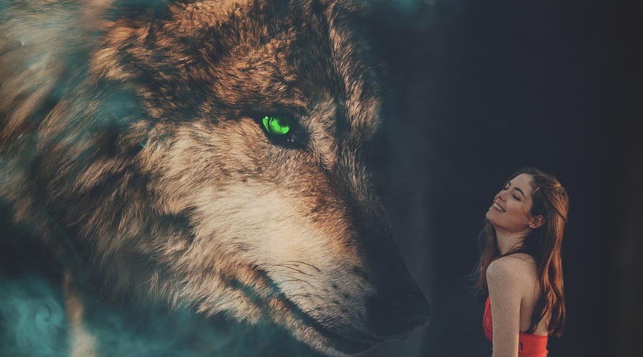 Če se bojite svoje teme, boste pritegnili v svojo auro še več teme (foto: pixabay)