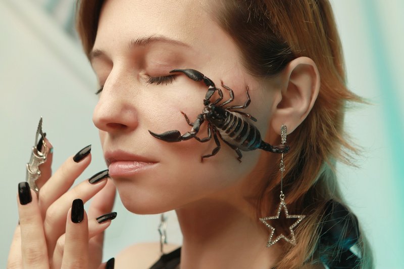 Škorpijoni so izjemno silovite osebe, polne energije in nebrzdane strasti (foto: pixabay)