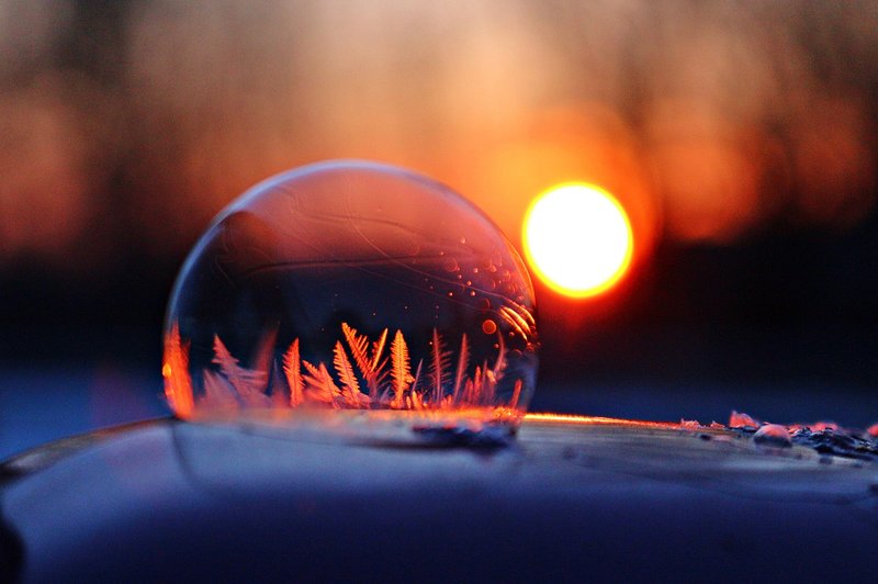 Sonce v Vodnarju: V tem tednu boste lahko dosegli več kot običajno (foto: pixabay)