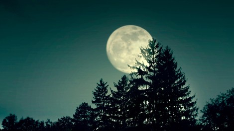Kakšne občutke lahko vzbuja tokratna polna luna?