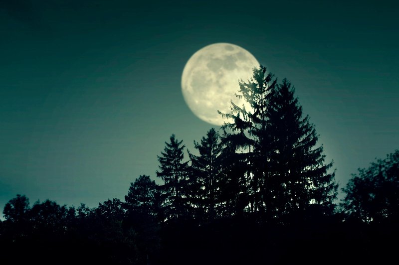 Kakšne občutke lahko vzbuja tokratna polna luna? (foto: profimedia)
