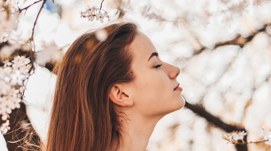 Naštela bom stvari, ki sem jih spoznala tekom življenja (foto: pexels)