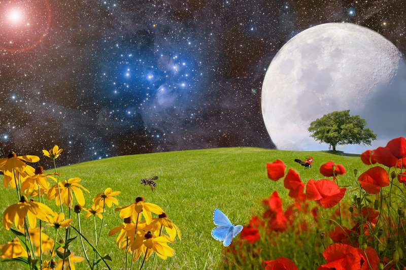Tokratna polna luna lahko deluje tudi pomirjevalno! (foto: pixabay)