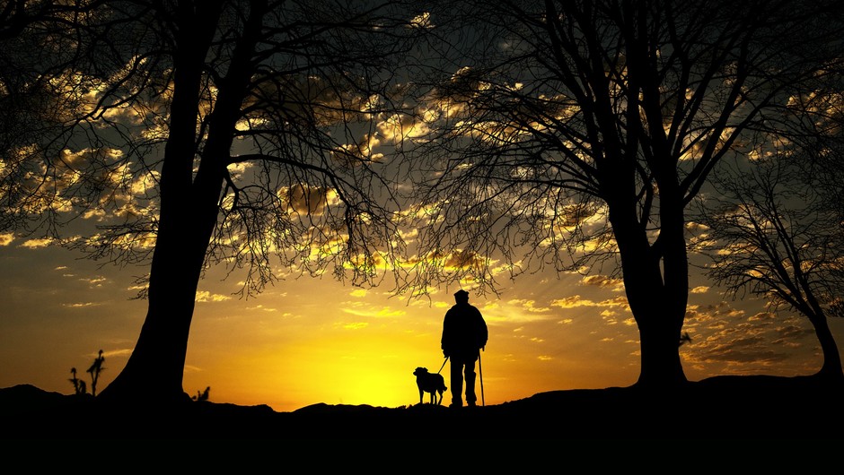 Ljudje si ob koncu življenja želijo, da bi si večkrat upali izraziti svoja čustva (foto: pixabay)