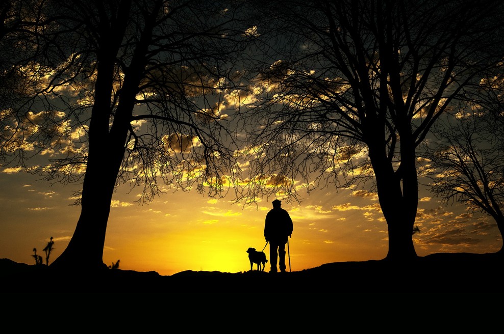 Ljudje si ob koncu življenja želijo, da bi si večkrat upali izraziti svoja čustva (foto: pixabay)