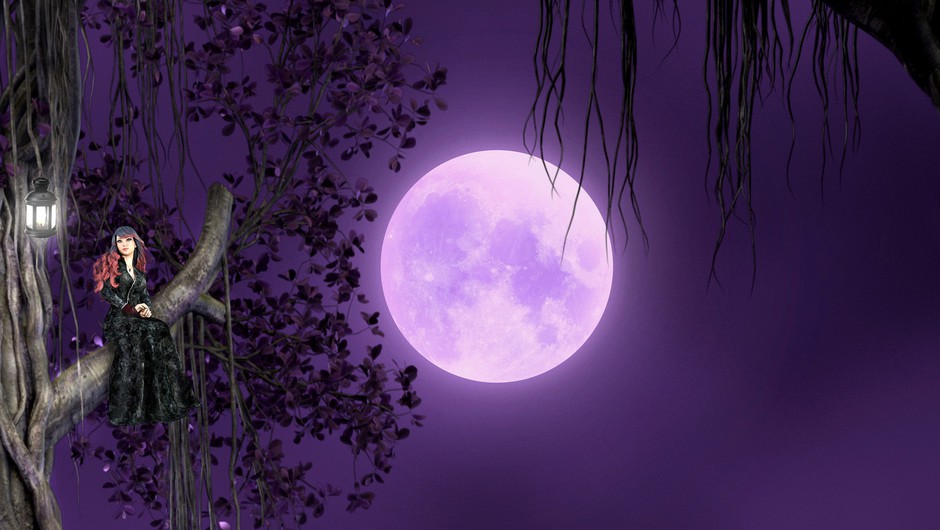 Prihaja polna luna z energijo za zdravljenje, zaščito in harmonijo (foto: pixabay)