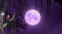 Prihaja polna luna z energijo za zdravljenje, zaščito in harmonijo