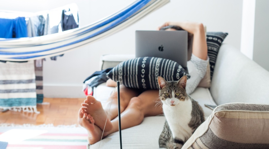 Kako pa vi trgujete s svojim časom, energijo in pozornostjo? (foto: pexels)