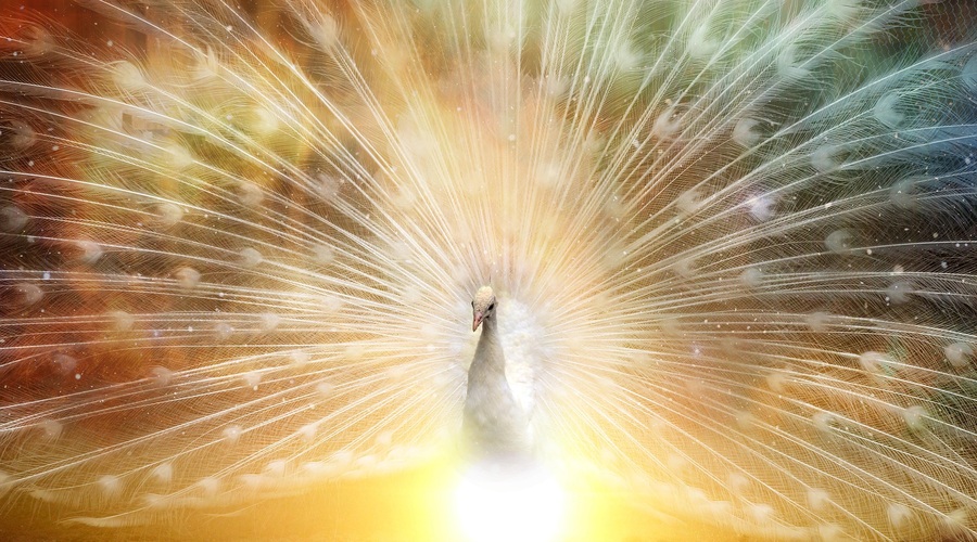 Kitajski horoskop od 12. do 18. 4. 2021 (foto: pixabay)