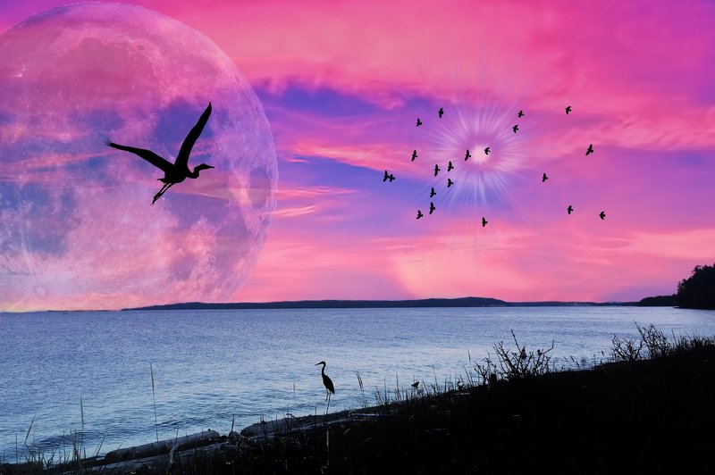 Super polna luna v škorpijonu - močan energijski portal (foto: pixabay)
