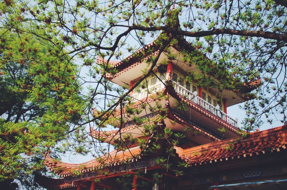 Kitajski horoskop od 26. 4. do 2. 5. 2021 (foto: Pexels)