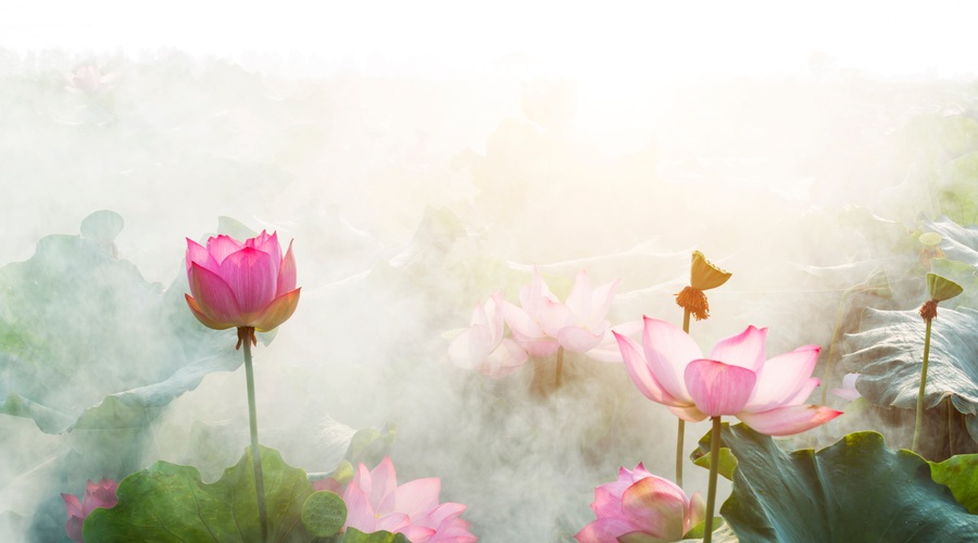 Kitajski horoskop od 10. do 16. maja (foto: shutterstock)