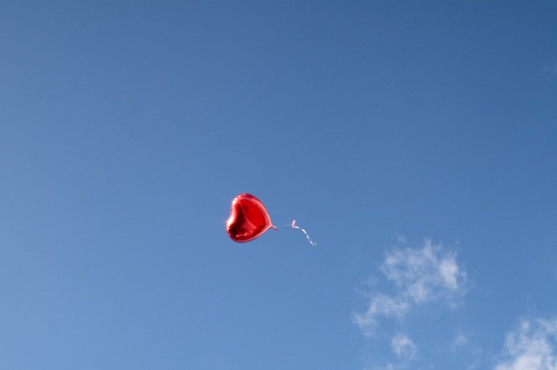 Sporočilo za današnji dan: Srce imamo zato, da ljubimo (foto: pexels)
