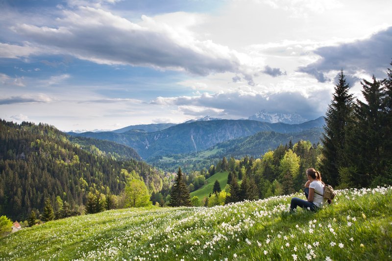 V Sloveniji gozdove, gore in vodo jemljemo "kar tako" za samoumevno (foto: profimedia)