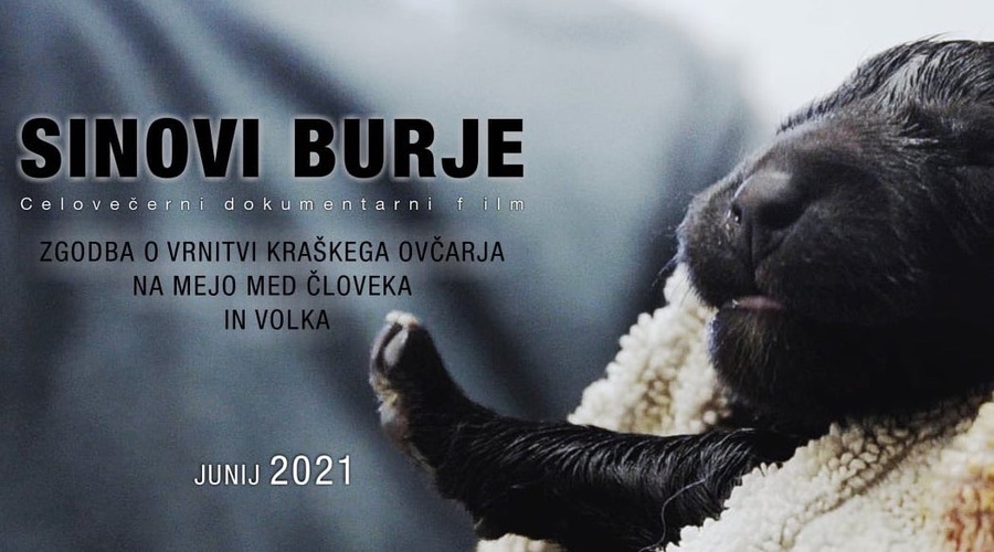 Oglejte si izjemen dokumentarni film Sinovi burje (danes) (foto: sinovi burje)
