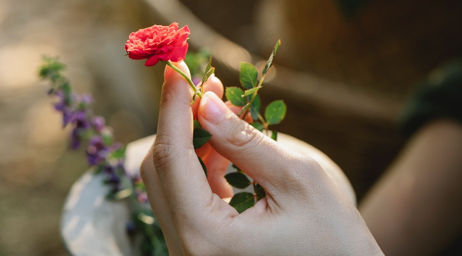 Kitajski horoskop od 21. do 27. junij 2021 (foto: pexels)