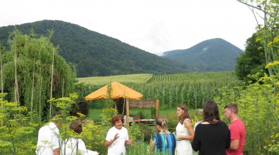 Obiščite zeliščni vrt Majnika (foto: Majnika arhiv)