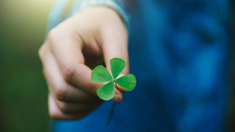 Štiriperesne deteljice so simbol sreče. Zakaj?