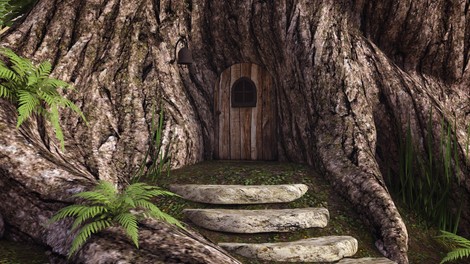 Kako naša pričakovanja poganjajo kolo sreče