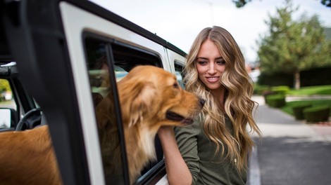 Kako psi ločijo, če ste nekaj naredili namenoma ali pa po nesreči