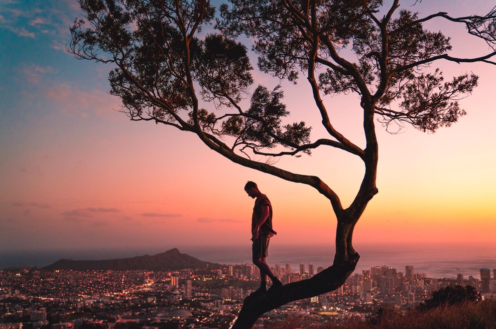 Kitajski horoskop od 6. do 12. septembra 2021 (foto: pexels)