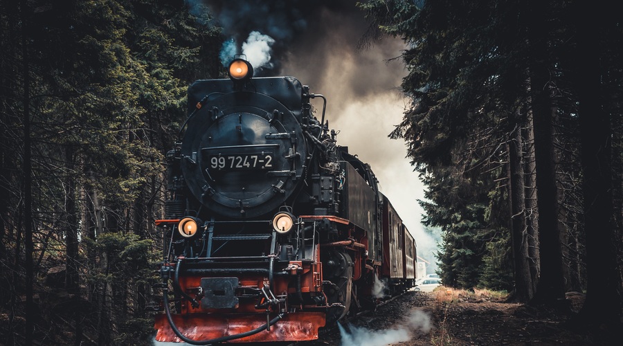 Zgodba z naukom: Vsak ima svojo zgodbo (foto: pexels)