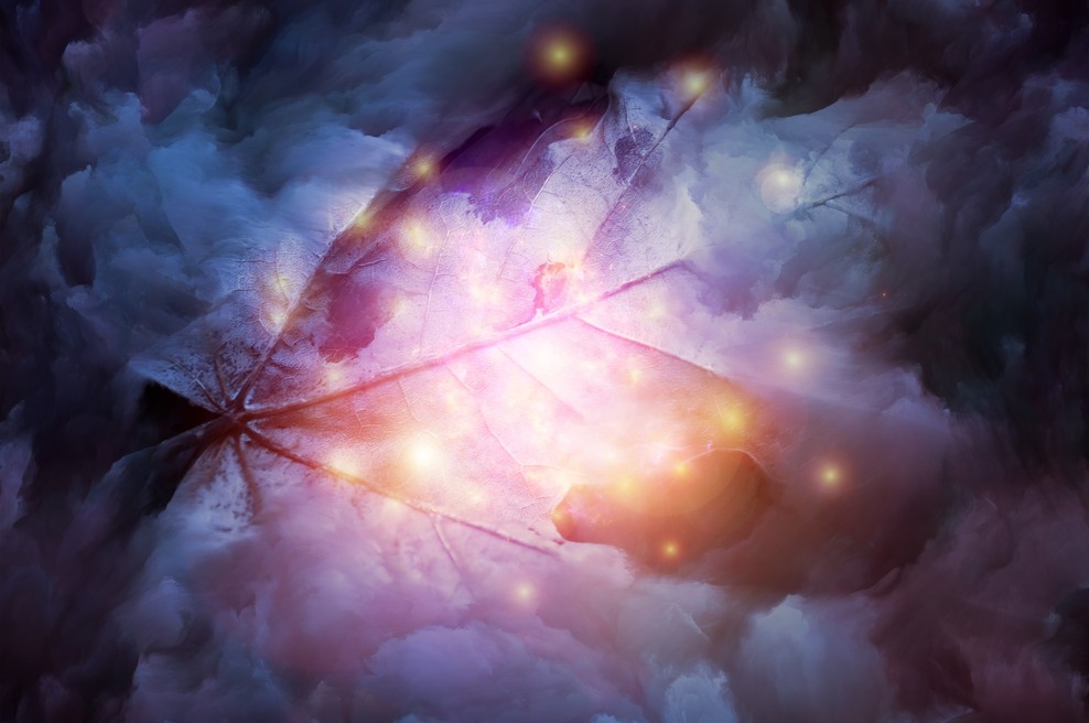 Astrologinja: Intenziven mesec november je pred nami! (foto: profimedia)