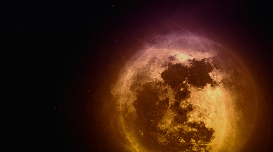 Čas mrkov: Na varnem si! (foto: pixabay)