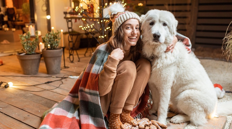 5 znamenj, ki bodo imela še posebej vesel december (foto: profimedia)