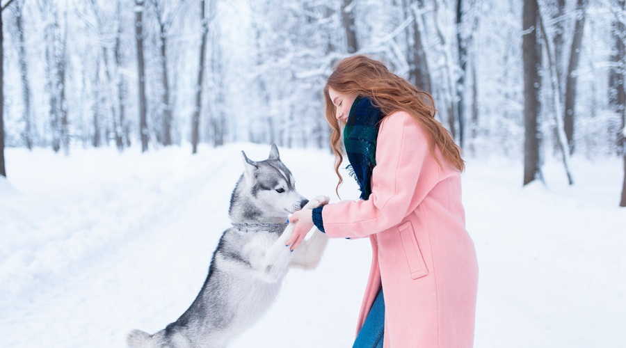 Naj bo december namenjen prekinitvi začaranih krogov (foto: profimedia)