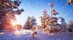 Zimski solsticij 21. 12. – edino pravo novo leto