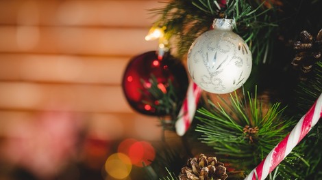 Ali veste, zakaj prav danes podiramo božično drevesce?