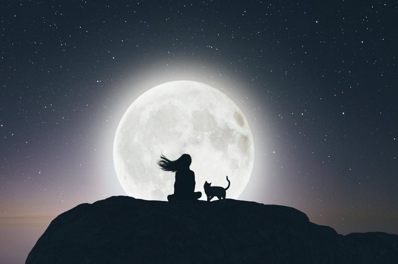 Astrologinja o današnji polni luni v levu (foto: profimedia)