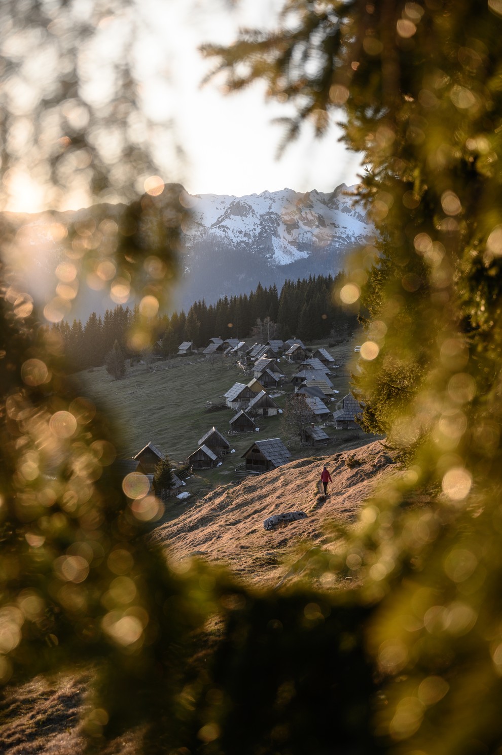 ZAJAMNIKI, POKLJUKA Še ena idilična točka za pohajkovanje in meditacijo je zagotovo Pokljuka. Najbolj zanimiva je planina Zajamniki, ki s …