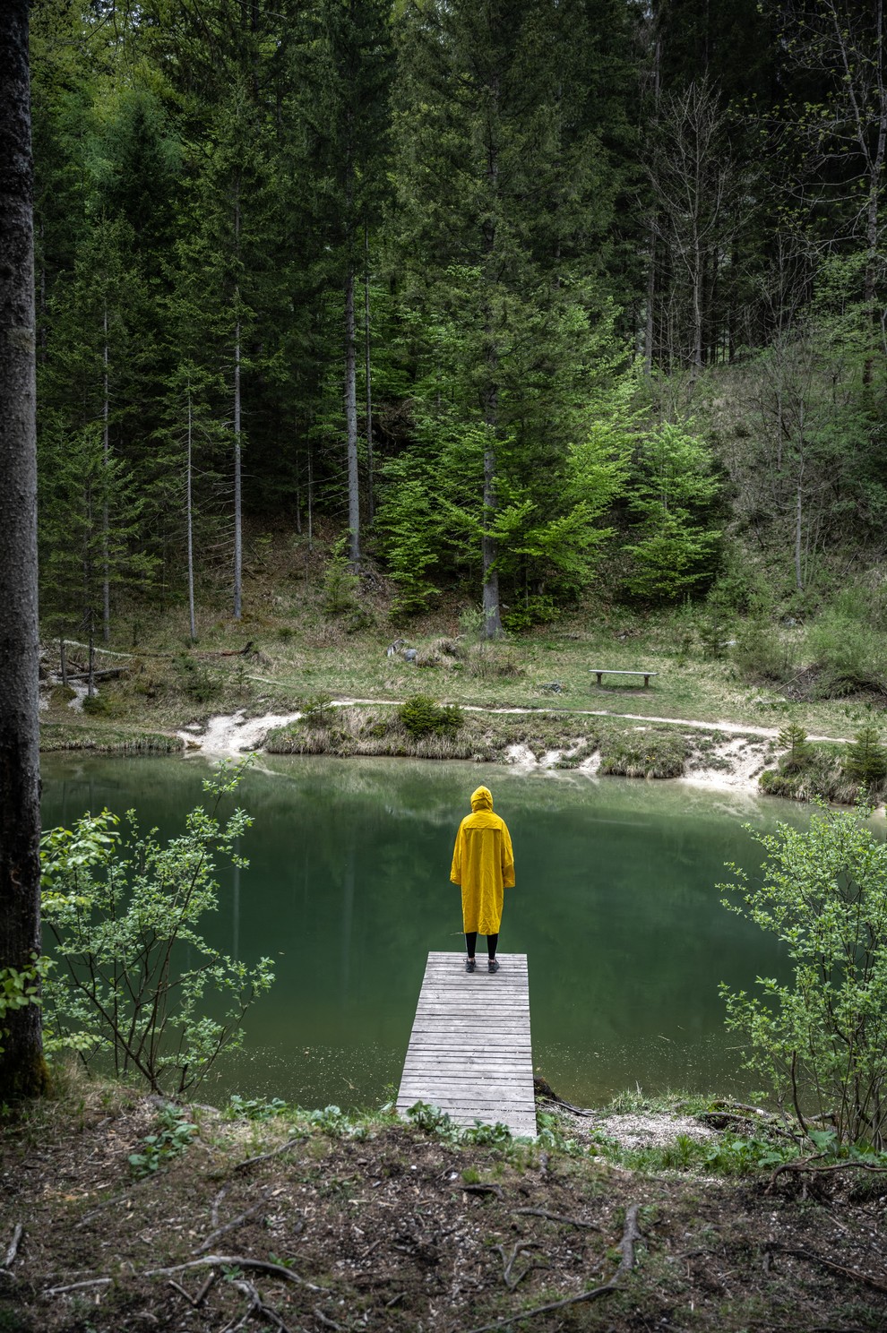 JEZERO KREDA V DOLINI VRAT Privoščite si meditacijo sredi gozda ob jezeru in v objemu Triglava. Napojite se z energijami …