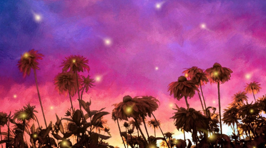 Ogromne količine svetlobe prihajajo... Dogaja se veliko zdravljenje planeta (foto: profimedia)