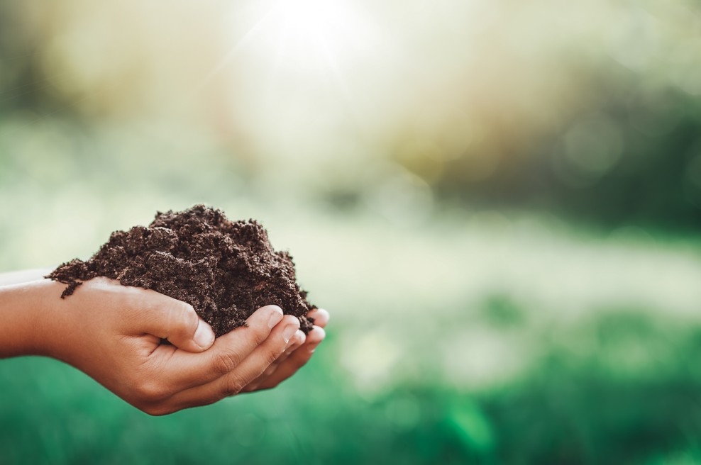 Na Zemlji je rodovitne prsti le še za 60 let! (foto: Profimedia)