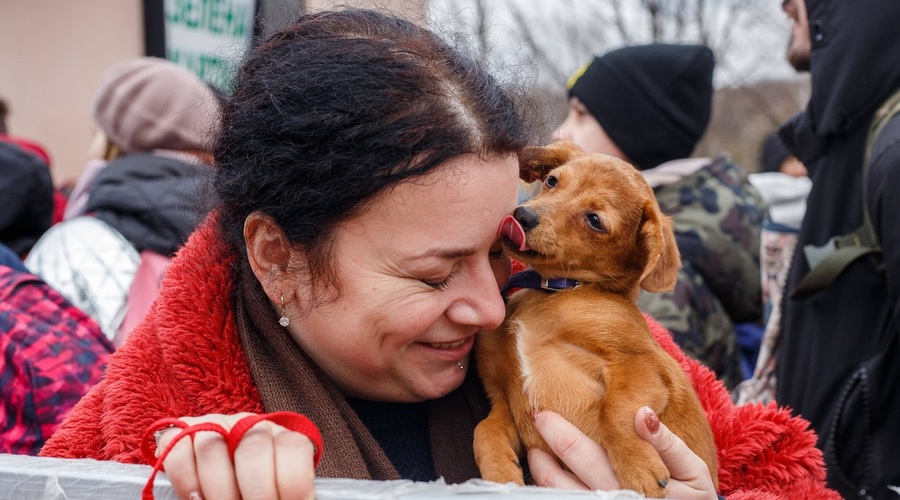 Tudi v kriznih časih ne zapuščajo živali (foto: profimedia)