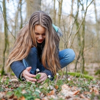 5 cvetlic pomladi, ki jih že lahko naberete za čaj