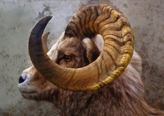 kaj je značilno za obdobje OVNA, ki se pričenja s spomladanskim enakonočjem