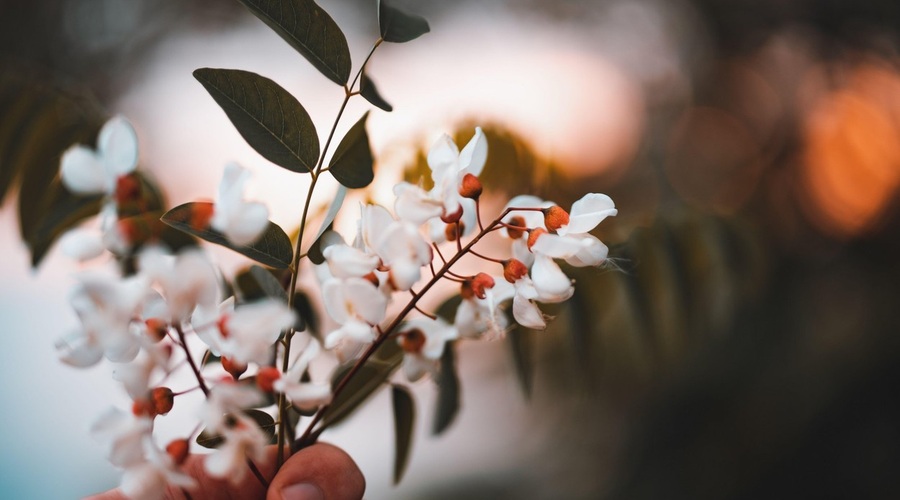 V času enakonočja se vzpostavi popolno ravnovesje (foto: profimedia)