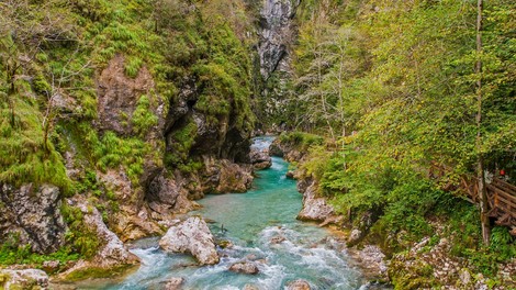Gremo v naravo: ideje za enodnevne izlete po Sloveniji