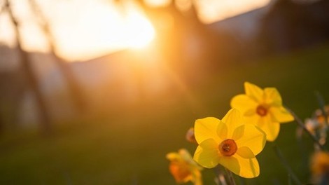 4 enostavni triki, s katerimi stopite v stik z naravo